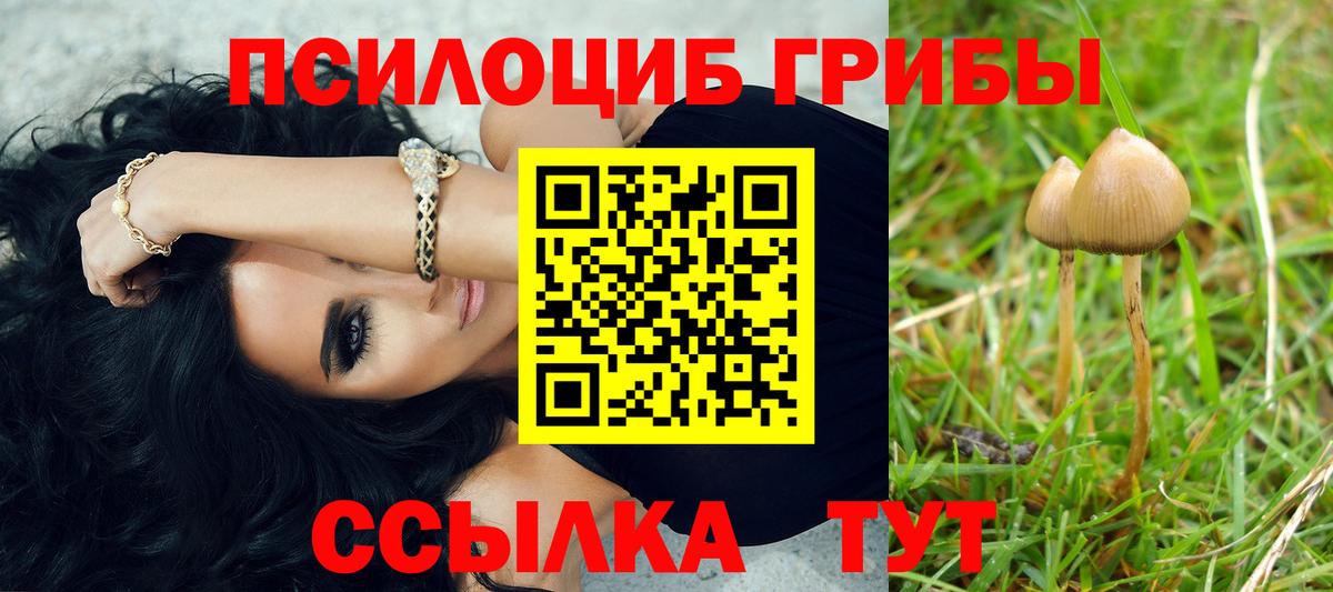 Псилоцибиновые грибы ЛСД Владивосток